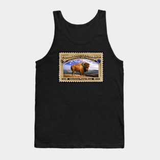 American Bison - Abundance and Freedom Tank Top